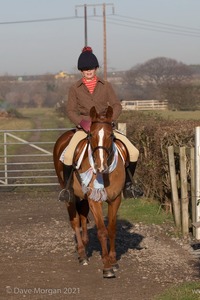 Collecting Ring Fancy Dress!